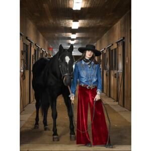 Tasha Polizzi Collection Maroon Velvet Ginny Pant Small